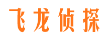 景谷寻人公司